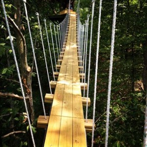 bridge